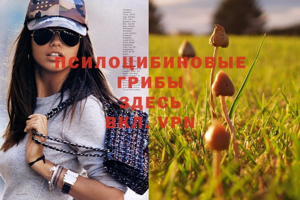 прущий лед Белоозёрский