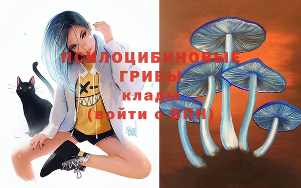 прущий лед Белоозёрский